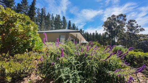 Knysna Apartment | denBosch Cottages