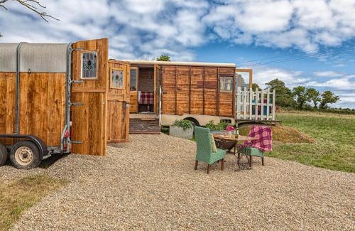 Goodwick Other | Dennis