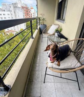 Mar del Plata Apartment | Departamento Ana, hermoso y excelente ubicación!