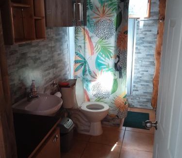 Pucon Apartment | Departamento frente a la entrada de los ojos del caburgua