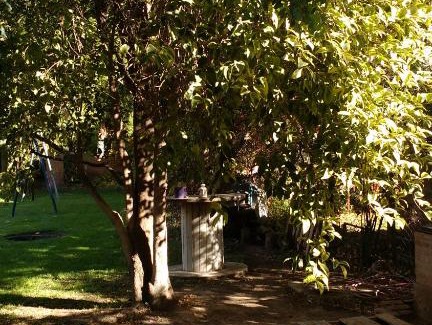 Neuquen Apartment | Departamento SV