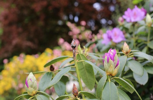 Gross Eilstorf Apartment | Der Alps Hof