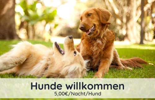 Steina Apartment | Der Fuchsbau - Fewo LePetit - im sonnigen Harz - 3 Hunde willkommen - 100m bis zum Wald - FREE WLAN