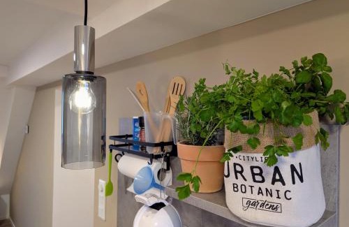 Zschopau Apartment | Der Zwergenbau - modernes Wohnen mit Schlossblick