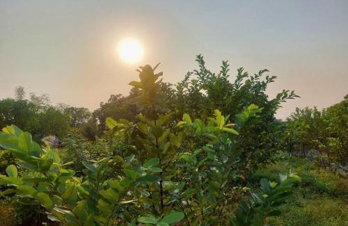 Athagarh Other | Dera Eco Stays