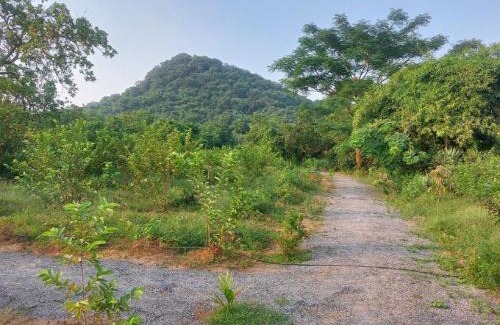 Athagarh Other | Dera Eco Stays