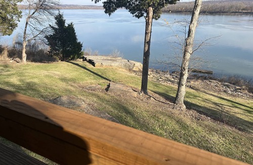 Derby Cabin | Derby Time Riverside Cabin