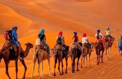 Taouz Hotel | Desert Berber Camp