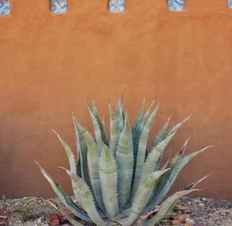 Study Butte-Terlingua House | Desert Pearl ⁠— Quick Drive from Big Bend