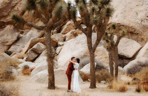Joshua Tree House | 'Desert Wild' Joshua Tree, Pool and Hot Tub