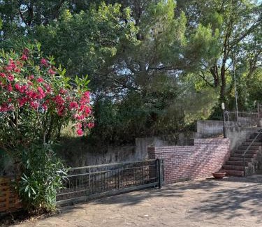 Pioppi Apartment | Desiderio D'Ammore CILENTO