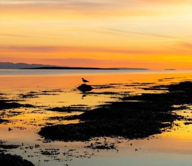 Vads House | Design Cabin By The Sea With Northern Lights