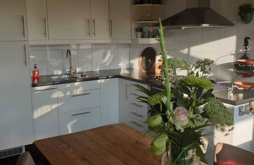 Oudeslius House | Detached dog friendly vacation home in a unique location
