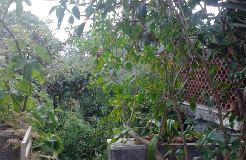 Scillichenti House | Detached house quiet area