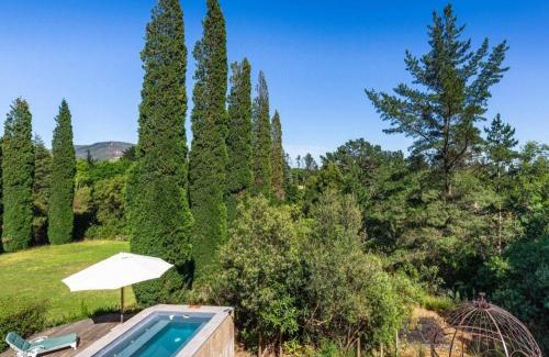 Koelenhof Apartment | Devon Castle Forest Lodge