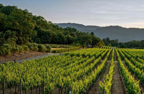 Koelenhof Apartment | Devon Castle Forest Lodge