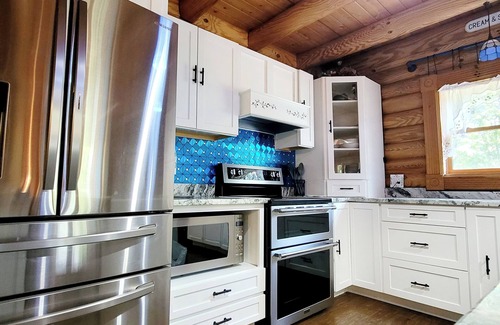 Bristol Cabin | Dice Dagger's Tavern - Large Family-Sized Cabin w/Gym, RV/EV Hookup!