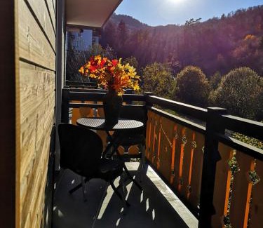 Bakuriani Apartment | Didveli Residence D44