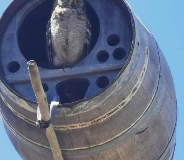 Gouritz House | Die Uil Nes Self Catering Accommodation