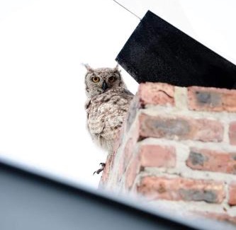 Gouritz House | Die Uil Nes Self Catering Accommodation