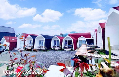 Dieng Villa | Dieng Hebat Villa & Glamping