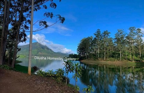 Hatton Bed & Breakfast | Dilusha Home Stay