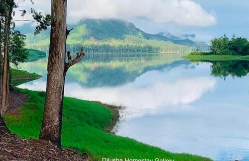 Hatton Bed & Breakfast | Dilusha Home Stay