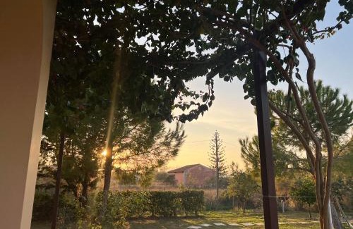 Molos Apartment | Dimitra Houses - Seaside