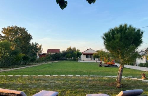 Molos Apartment | Dimitra Houses - Seaside