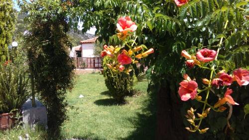 Poulata House | Dimitris House