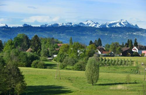 Enzisweiler Apartment | Dinkelbach Feriendomicil Objekt 2 D