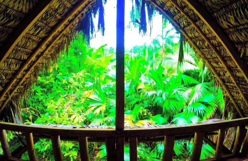 Ahuano Cabin | Discover serenity in the Ecuadorian Amazon.