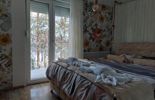 Divcibare House | Divčibarski M.S.A. kutak