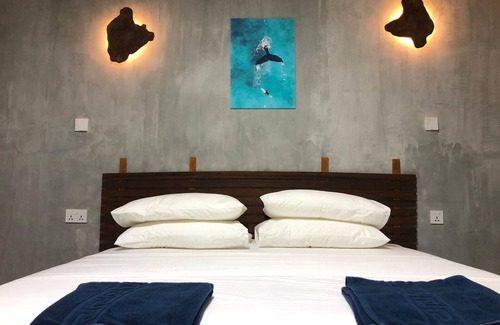Dhidhdhoo Resort | Dive and Sleep - All Inclusive Diving Guesthouse - 3 Dives per day
