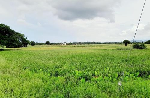 Arau House | Dmana Homestay Arau Perlis