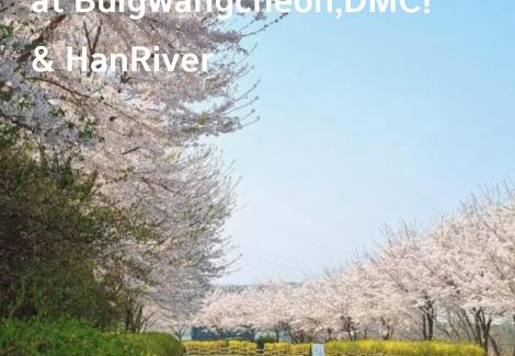 Sangam-dong House | DMC Stay