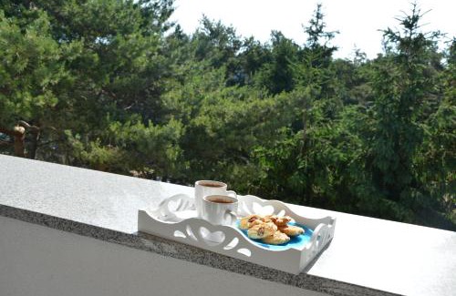 Lukecin Apartment | Dmuchawiec Łukęcin