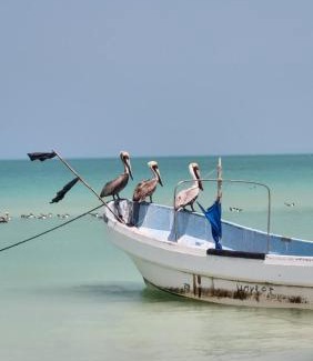 Salina Grande Apartment | Doctor's apartment Island Sunrise