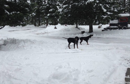 Seeley Lake House | Dog and horse friendly property in Seeley Lake, MT, minutes drive to beaches