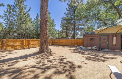 Sugarloaf Cabin | Dog-Friendly Big Bear Cabin w/Large Fenced Yard & Cozy Fireplace in Sugarloaf