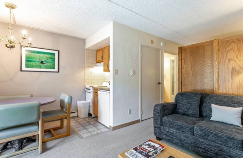 Vail Condo | Dog Friendly Vail Lionshead Studio, LH Studio