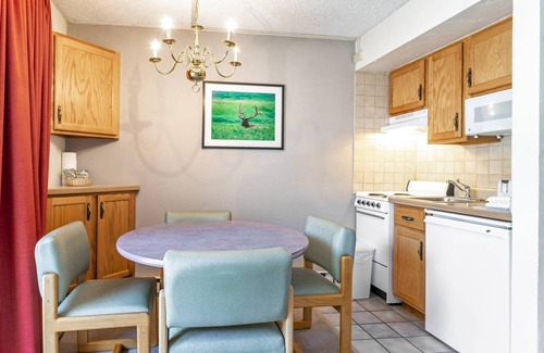 Vail Condo | Dog Friendly Vail Lionshead Studio, LH Studio