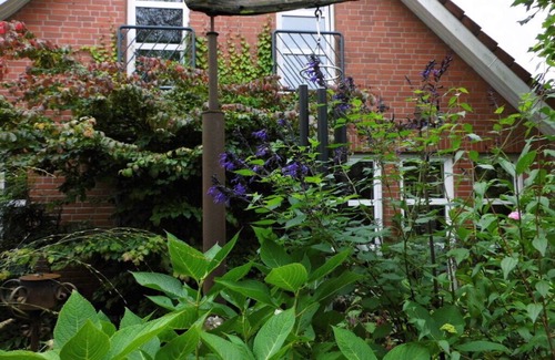 Wiesmoor House | Dollhouse Modern retreat