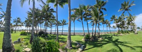 Dolphin Heads Apartment | Dolphin Heads - Resort Unit - Absolute Beachfront! - Whitsunday Getaway!