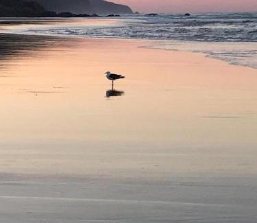 Glentana Apartment | Dolphin's Nook