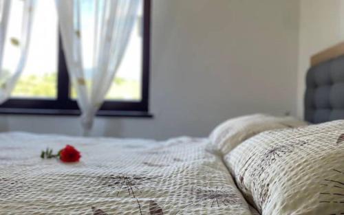 Liptovsky Mikulas House | Domček u Babky