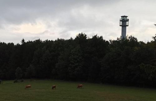 Dabrowno House | Dom na Końcu Świata Ostrowite Sauna i Ruska Bania