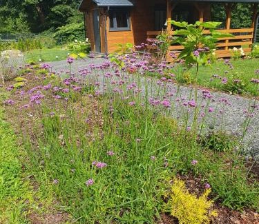 Boleslawow House | Dom nad wodospadem