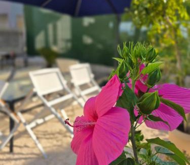 Gouvia Apartment | Doma Mare Athena