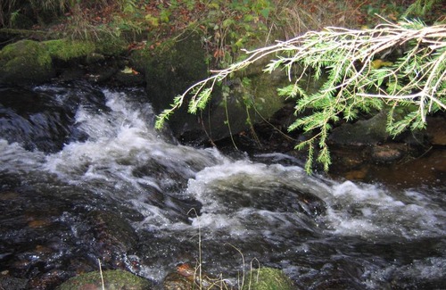 Sainte-Catherine House | Domaine de Marmeloux